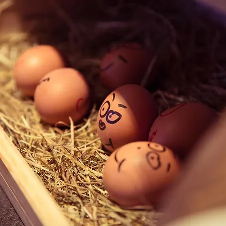 Designhotel Sonnhof By Vitus Winkler 4* 蓬高地区圣法伊特